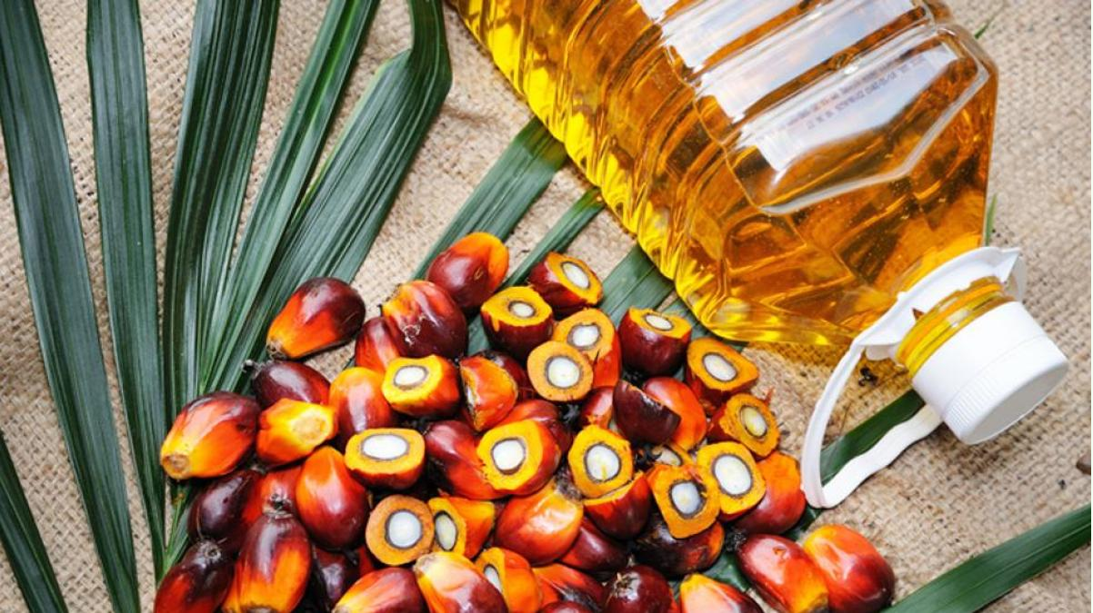 Experiencia en distribución